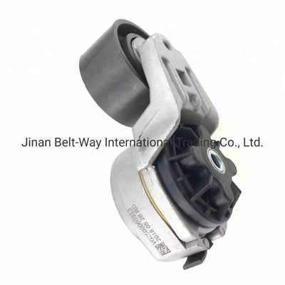 Выплата поддержки в долларах США Sinotruk HOWO Wechai Engine Tensioner Pulley Vg2600060313