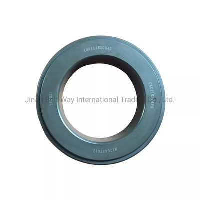 Sinotruk HOWO Shacman Balance Shaft Thrust Bearing 199114520042 для грузовых/морских двигателей