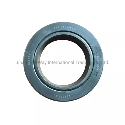 Sinotruk HOWO Shacman Balance Shaft Thrust Bearing 199114520042 для грузовых/морских двигателей