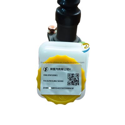 Главный цилиндр сцепления Dz93189230090 для грузовика Shacman F3000/F2000/M3000 для рынка Южной Азии