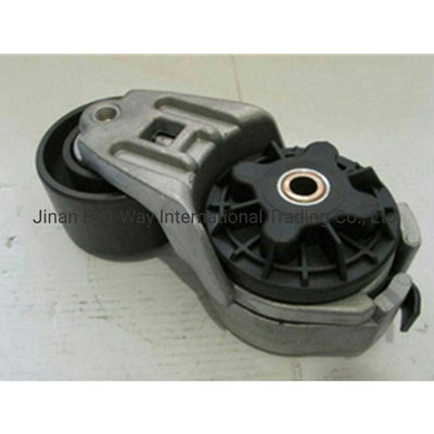 Выплата поддержки в долларах США Sinotruk HOWO Wechai Engine Tensioner Pulley Vg2600060313
