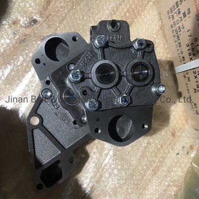 Sinotruk HOWO Deutz тракторный насос Az1500070021A Защищенный Made-in.com Возврат