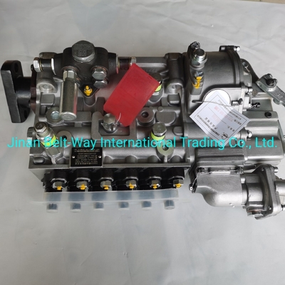 Sinotruk HOWO Truck Parts Fuel Injection Pump Vg1560080021 с поддержкой платежей в долларах США