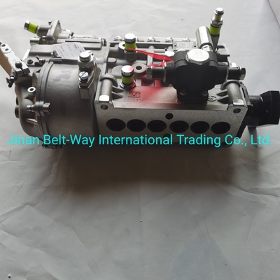 Sinotruk HOWO Truck Parts Fuel Injection Pump Vg1560080021 с поддержкой платежей в долларах США