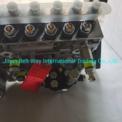 Sinotruk HOWO Truck Parts Fuel Injection Pump Vg1560080021 с поддержкой платежей в долларах США