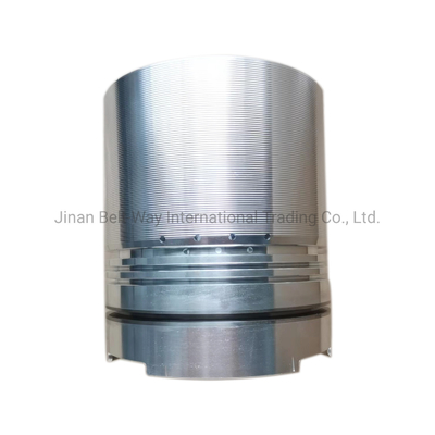 Оплата поддержки в долларах США Cummins Engine Piston 3017348 для двигателя Cummins Nt855